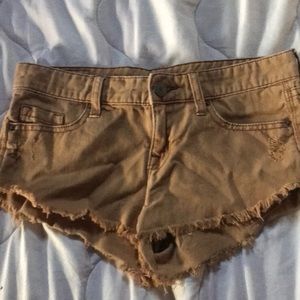 DBG shorts